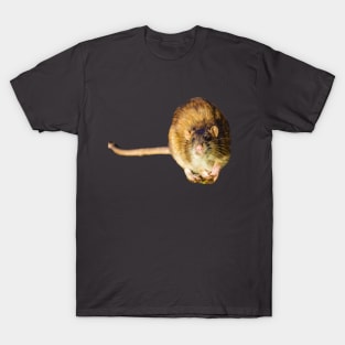 Got some food Mate? T-Shirt